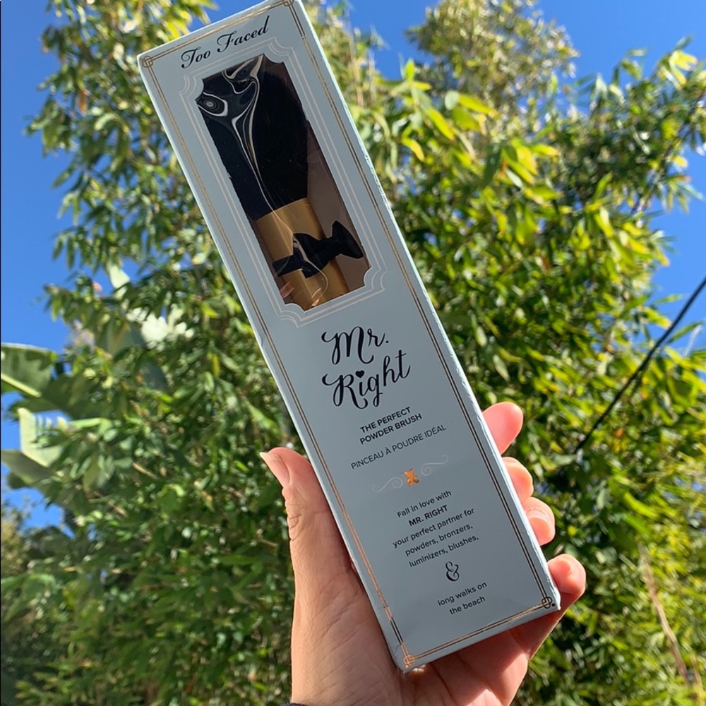 MR. RIGHT POWDER BRUSH